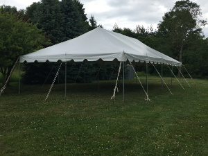 All Purpose Tent