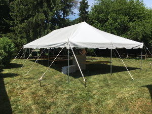 All Purpose Tent